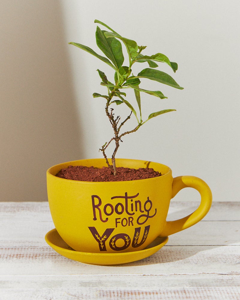 Chumbak Rooting for you Planter - Mustard - Image 1